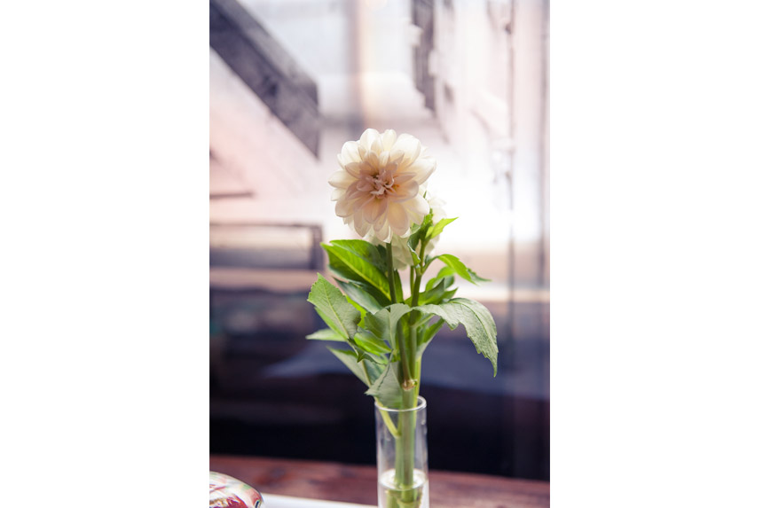 white dahlia wedding flowers
