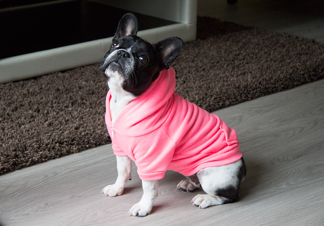 hoodie buffy